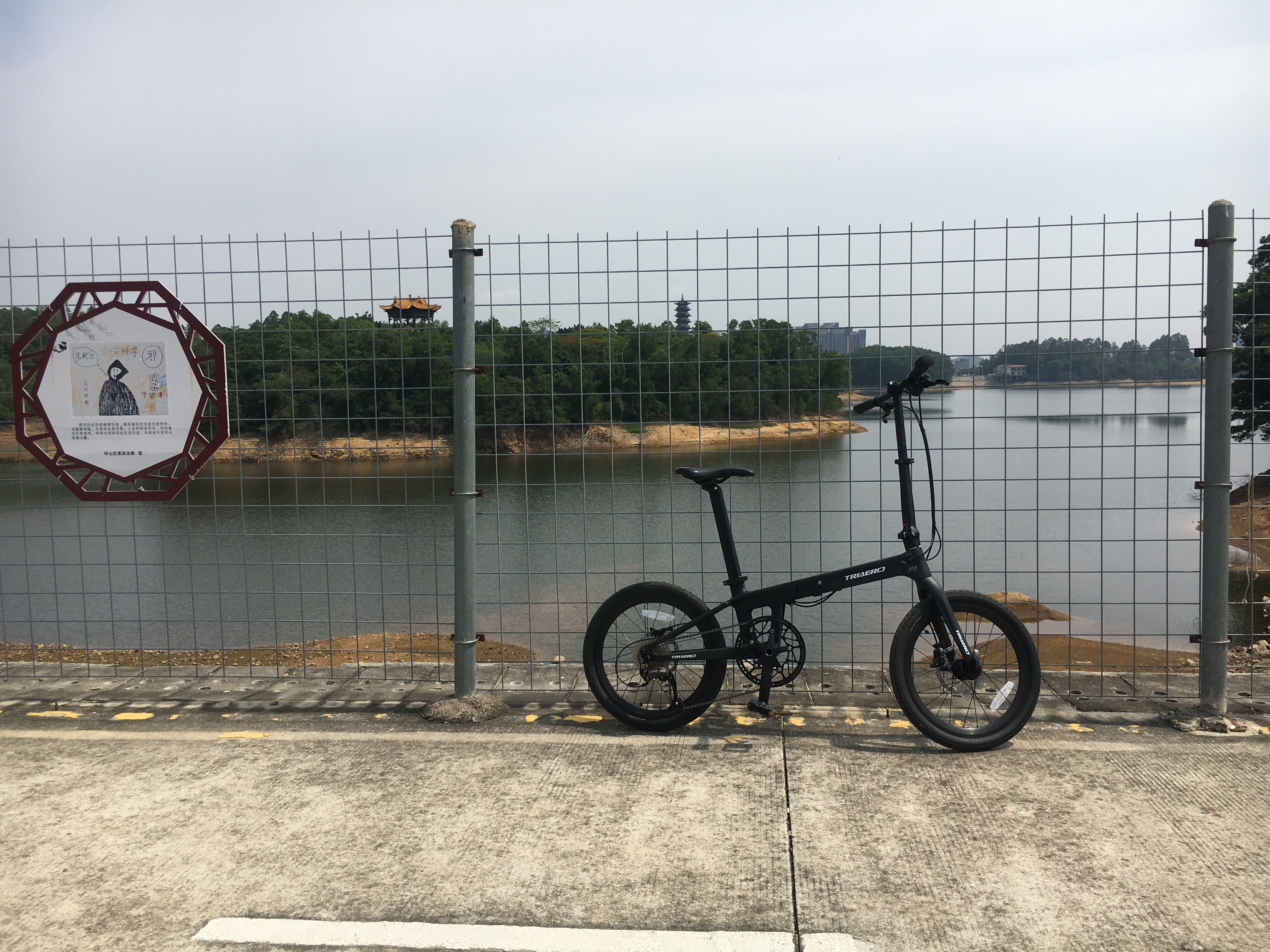 Amazon | ICAN（アイカン）F1カーボン折りたたみ自転車 超軽量 シマノ9